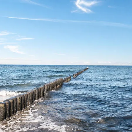 شقة Strandvilla Seepferdchen App 2